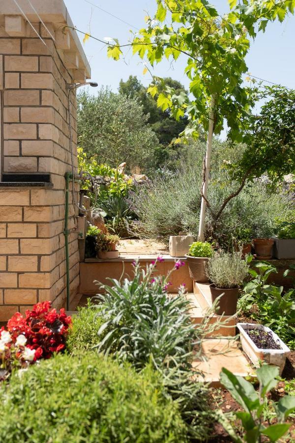 Apartmani "Zuka" كورتْشولا المظهر الخارجي الصورة